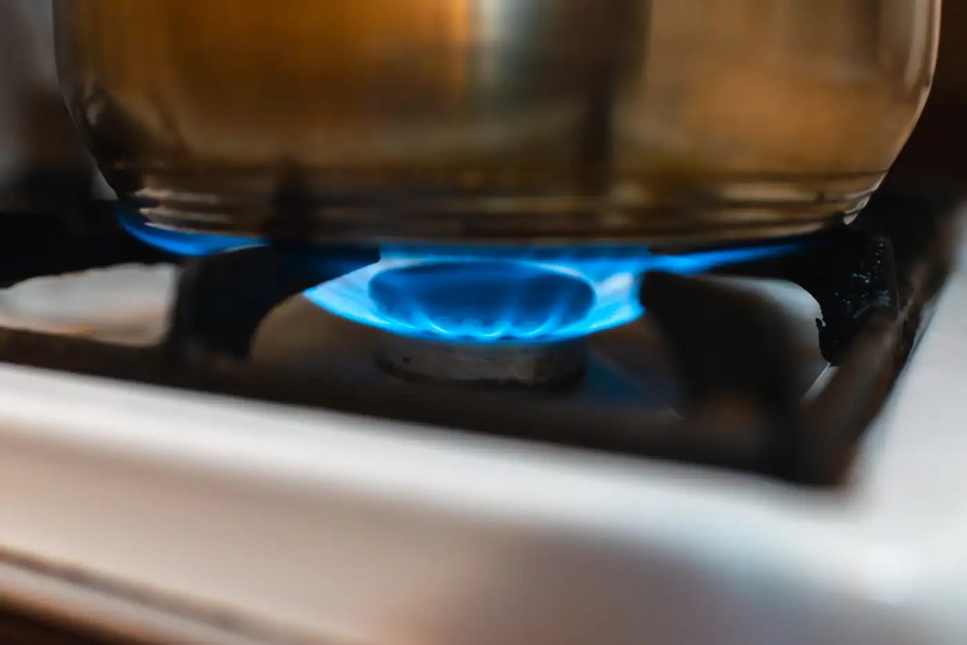 A blue gas flame burning on a kitchen hob ring